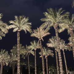 Majid Al Mohandis__Ya Nas