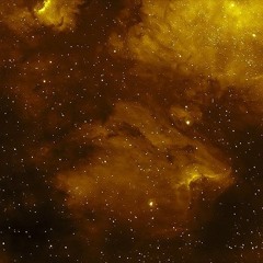 Akajani - Yellow Stardust