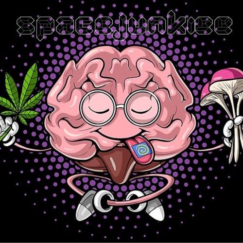 Spacejunkiee - Wubddim