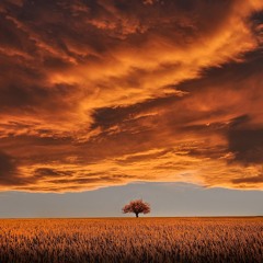 Crimson Skies