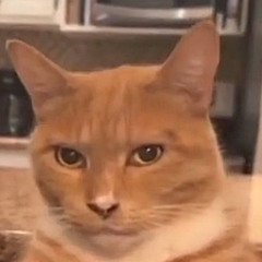 UNE