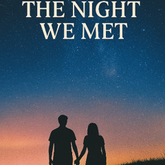 The Night We Met