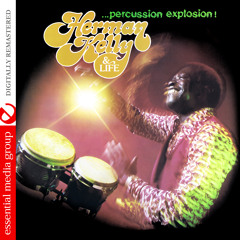 Dance to the Drummer's Beat (Jim Burgess 12" Mix)