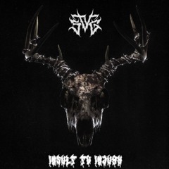 STVG - INSULT TO INJURY