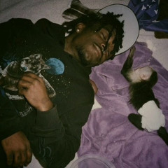 Thot Back - Lil Uzi Vert (CDQ Snippet)