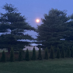 all my fears + weial(akira)