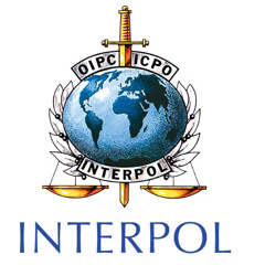 ТЫ ПРОДАВАЛ НАРКАТУ interpol