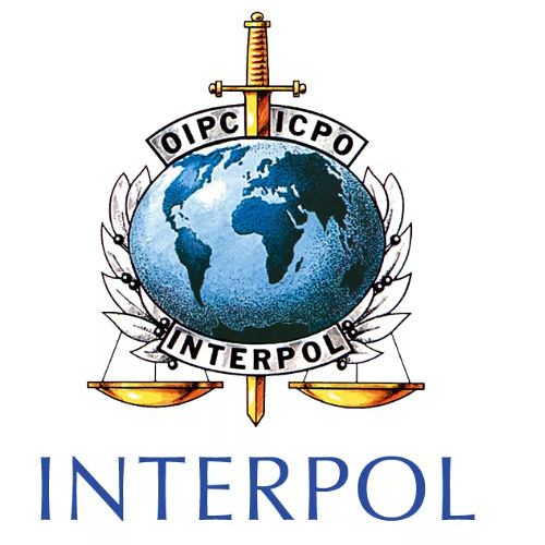 ТЫ ПРОДАВАЛ НАРКАТУ interpol