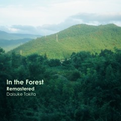 In the Forest (Remastered)
