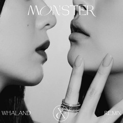 IRENE & SEULGI - Monster (Whaland Remix)