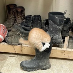 Boots & Cats Mix Vol.5