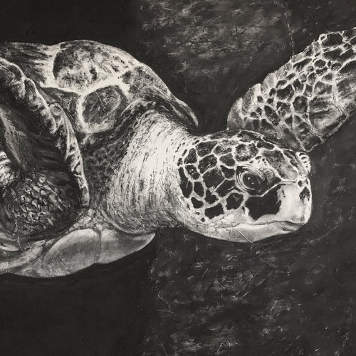 Turtle Time (Gho$t x pouritupsoda)