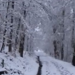 coldtimes (sopel x lou)