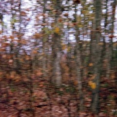 Henderson Century - Peace Spell