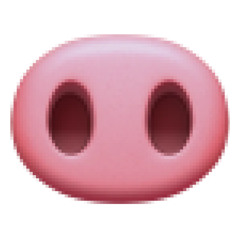 MOYA NOZDRYA [FENT40]