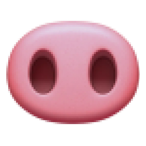 MOYA NOZDRYA [FENT40]