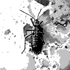 The Slippery Slope of Hardcore Pornography