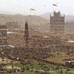 Toki - Peio Erramouspe (08.02.21)