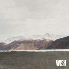 WISH ft. 수란 (cover)