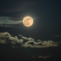 تلاوة من سورة الإسراء| أحمد حمادي