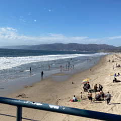 west coast loops.46