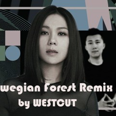 Retro Hype Remix Norwegian wood by Tanya Chua | TRAP / Chillstep 蔡健雅 [挪威森林]