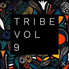 Tribe Vol 9
