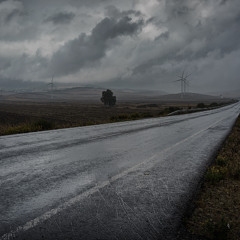 Lonely Road