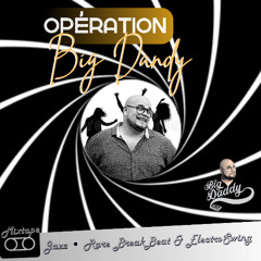 Operation BigDandy