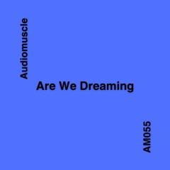 Are We Dreaming (Original Mix) [AM055]