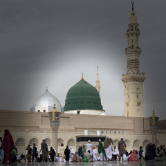 مولد الشيخ علي هاني - Mawlid Adel Brothers