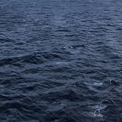 Until The End - Rev 01 022826