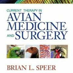GET [KINDLE PDF EBOOK EPUB] Current Therapy in Avian Medicine and Surgery by  Brian Speer DVN DipECZ