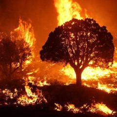 HEAT ! (PROD. By Aftertheconcert)