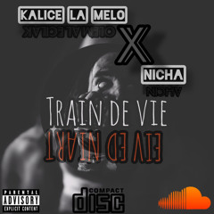 x Nicha - TRAIN DE VIE