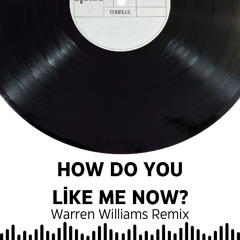 HOW DO YOU LIKE ME NOW (Warren Williams Remix)