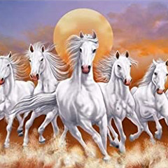 ADCKSunset (kinhdo, tony, dale, corwin)