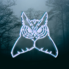 UNVEILED OWLS 10 - OPRES (FMG GUEST-MIX SERIES)