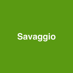 Savaggio Gattu Presents - Ya Gattu Beatums FreedomStyle Vol 1:  Pt. 1 | made on the Rapchat app (prod. by SOB Production)