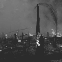 Premiere: Urban Groove - Devastated Earth [Illegal Alien Records]