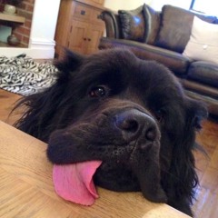 xul slurtome cant be like me @scarephomet