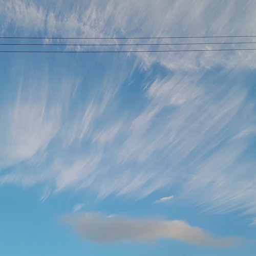 floating [naviarhaiku545]