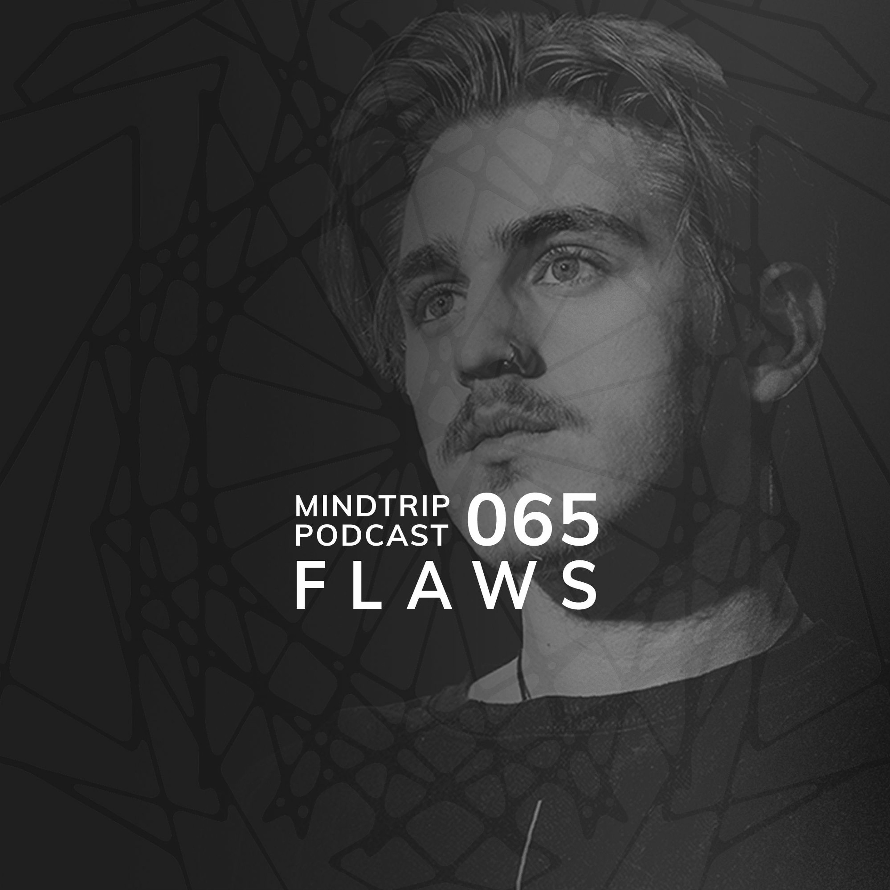MindTripRec