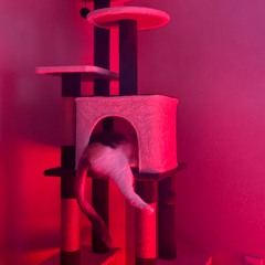 red wine (prod. kenpachibeatz)