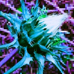 < D E E P > Chill Bangers Vol 14