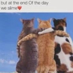 96