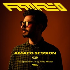 Session 029 - Hrag Mikkel