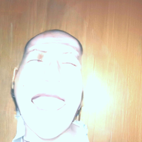 BITCRUSHER (prod. slimecat99)