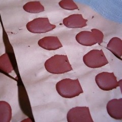 Geri Dönemem Asla x Kan