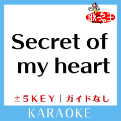 Secret of my heart -5Key(原曲歌手: 倉木麻衣)